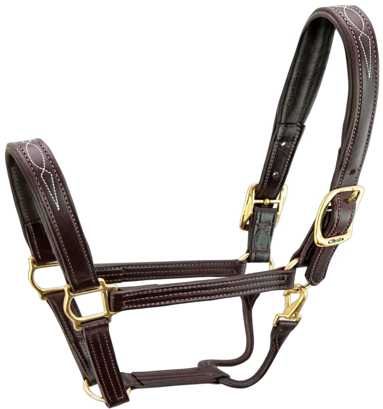 Signature Halter Horse S5000 Leather Halters Png Leather Png