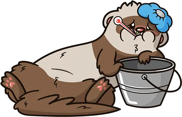 Ferret First Aid Kit For 2020 U2013 The Modern Cartoon Png Ferret Png