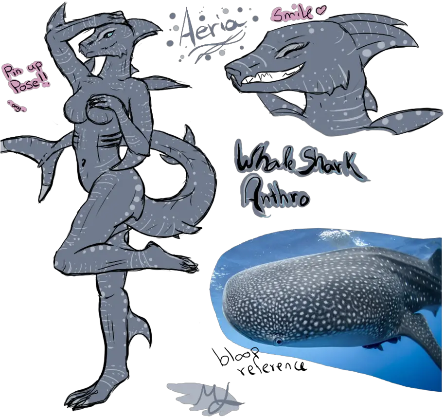 Clipcookdiarynet Whale Shark Clipart Furry 4 912 X 876 Anthro Whale Shark Png Whale Shark Png