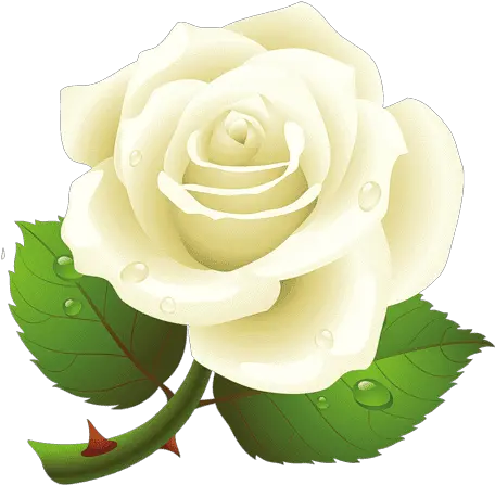 Green And Yellow Rose Flower Png Stockspng White Rose Png Rose Flower Icon