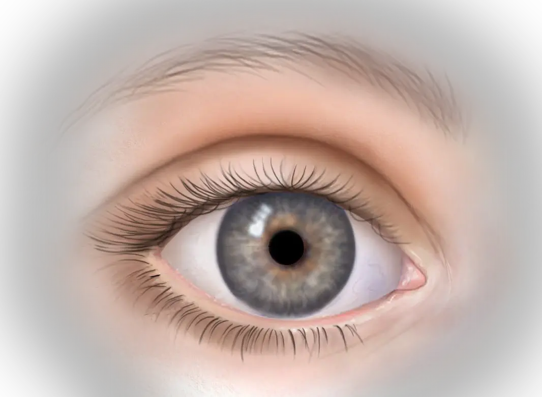 Eye Iris Png