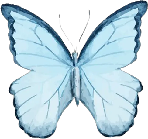 Butterfly Watercolor Painting Drawing Transparent Butterfly Watercolor Png Watercolor Butterfly Png