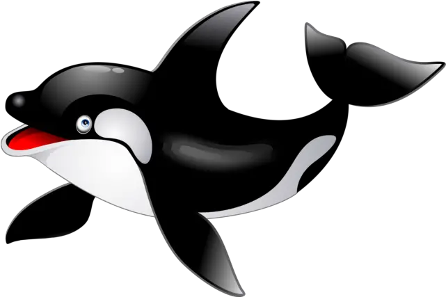 Killer Whale Vector Png Hd 6 Transparent Image For Free Cartoon Killer Whale Png Killer Png