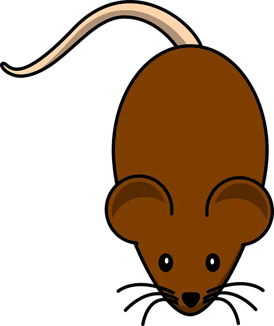 Brown Rat Svg Free Download Png Files Mouse Clip Art Rat Transparent