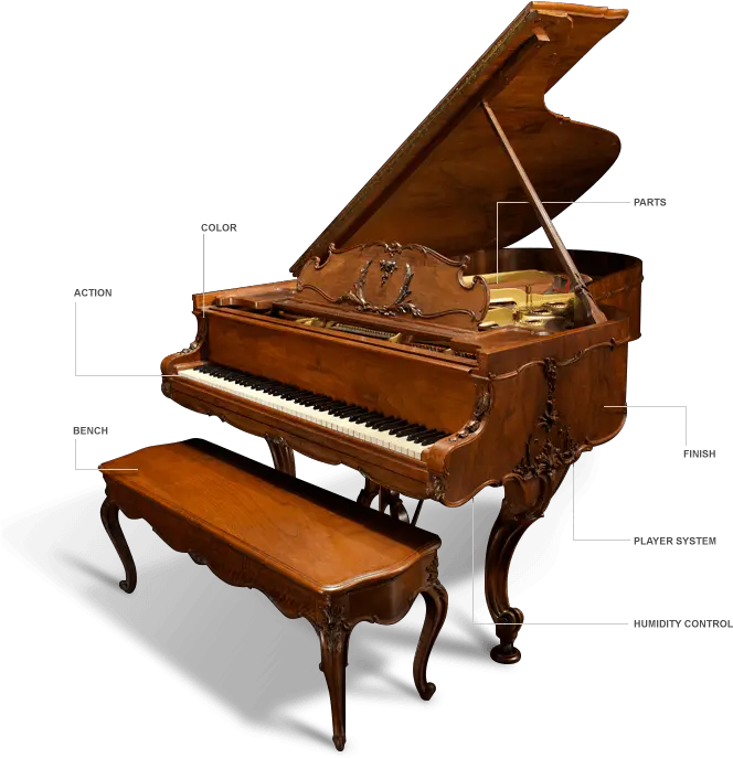 Pianos Diamond Parts Of A Piano Png Piano Transparent