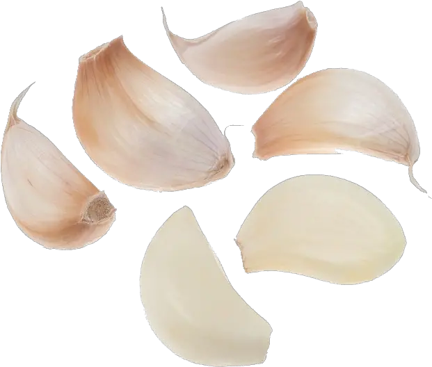 Garlic Png Herbs For Staphylococcus Aureus Garlic Png