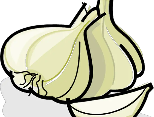 Garlic Clipart Vector Garlic Clipart Png Garlic Transparent Background