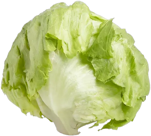 Iceberg Lettuce Png 4 Image Iceberg Lettuce Transparent Lettuce Png