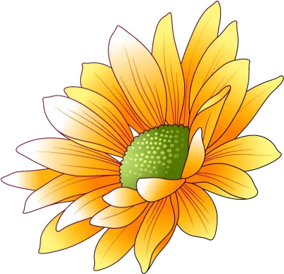 Sunflowers Transparent Image Clip Art Png Sunflowers Transparent