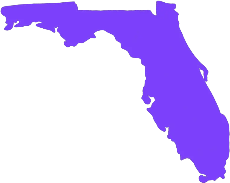 The South Got Something To Say A Celebration Of Southern Florida Map Vector Png Def Jam Fight Icon