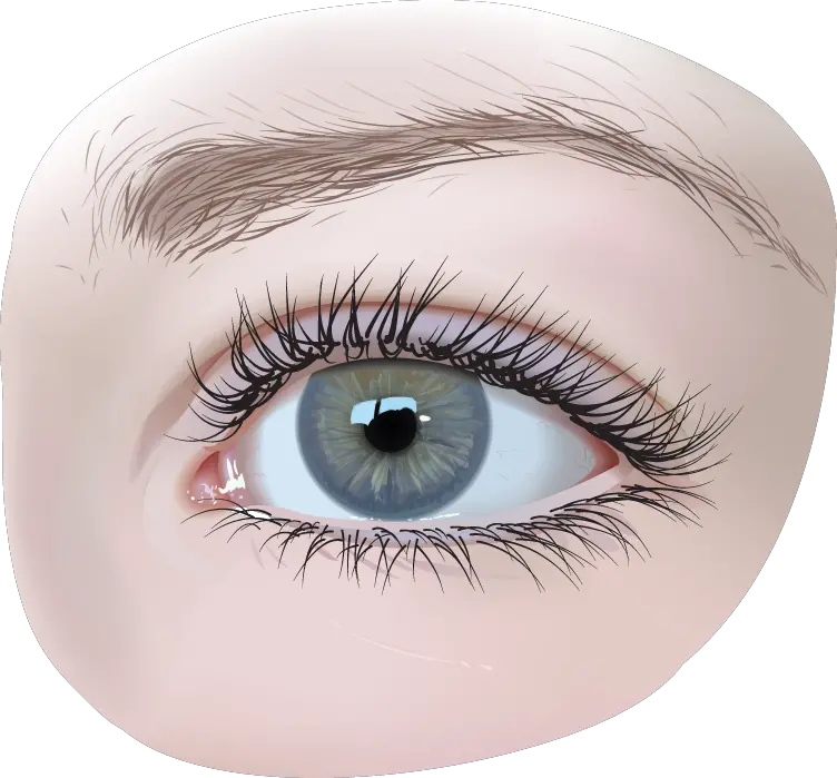 Doll Eyes Png