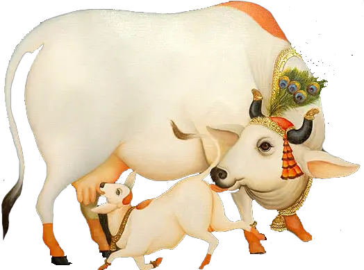 Krishna With Cow Png Image Cow With Krishna Png Cow Png