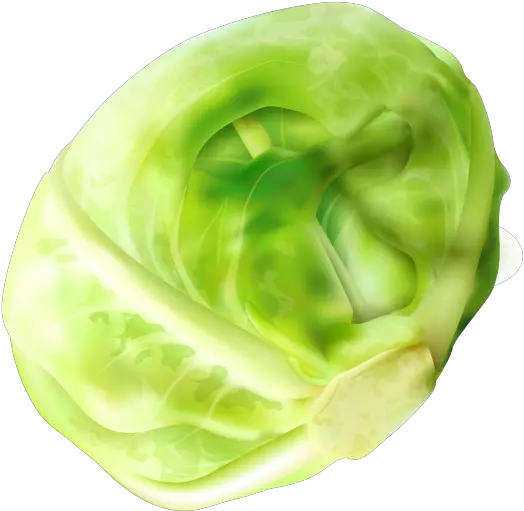 Cabbage Clipart Png Image Free Download Brussel Sprout Png Cabbage Png