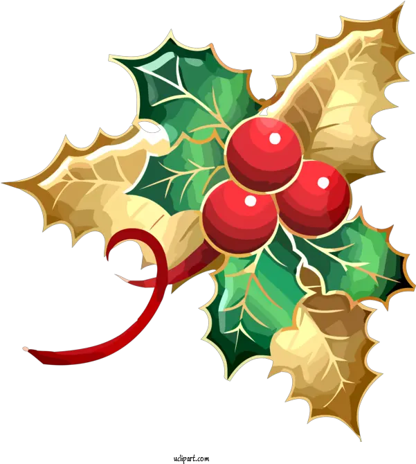 Holidays Holly Leaf Plant For Christmas For Holiday Png Holly Leaves Png