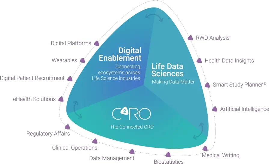 The Cro Keyrus Life Science Pharma Cro Ecosystem Png Life Science Icon