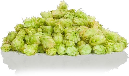 Oharas Double I Beer Hops Png Hops Png