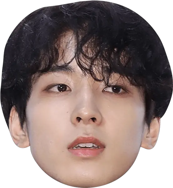 Finn Wolfhard Face Cut Out Png Image Finn Wolfhard Cardboard Cutout Finn Wolfhard Png