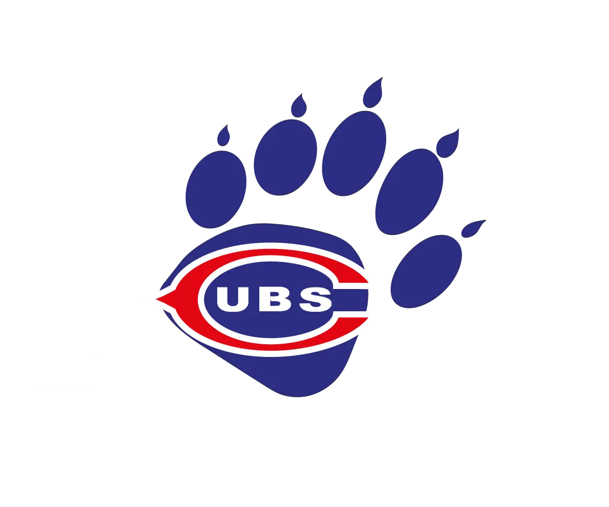 Chicago Cubs Baseball Clipart Png Logo