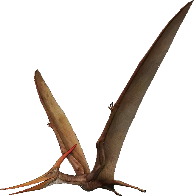 Download Pterosaurs Png Transparent Pterosaurs Png Pterodactyl Png