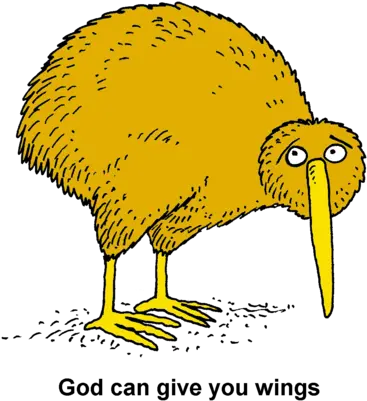 Kiwi Golden Kiwi Bird Png Kiwi Bird Png