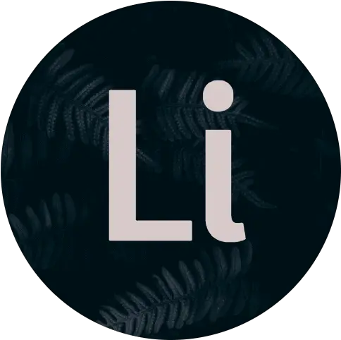 Meet The Team Liteourites Dot Png Discord Invisible Icon