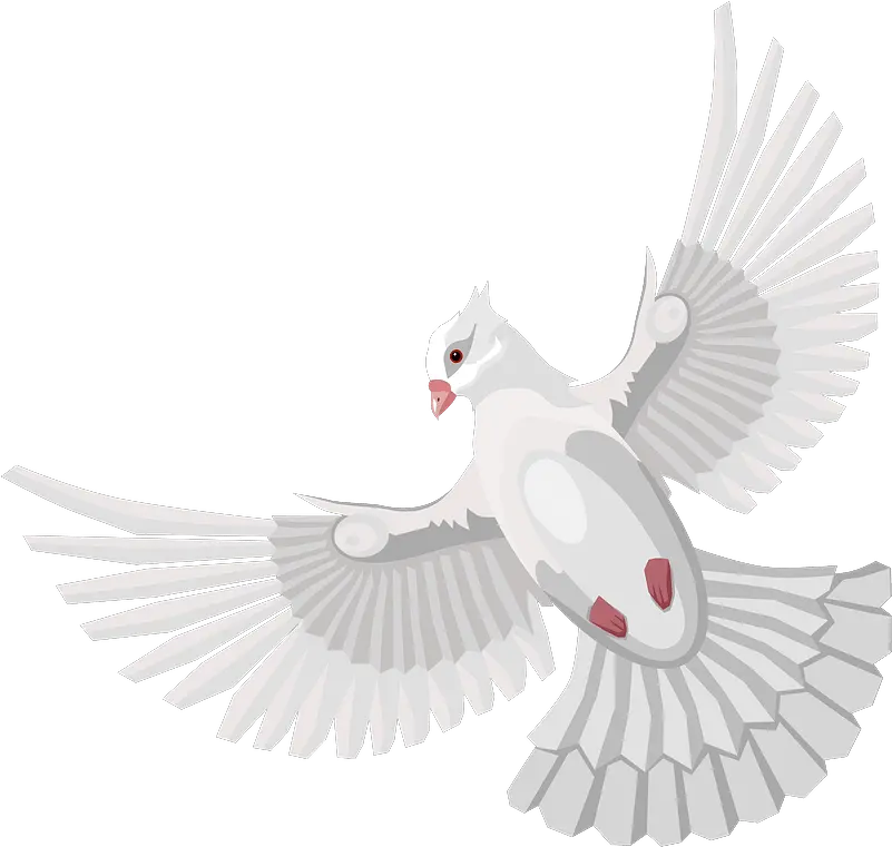 Dove Clipart Free Download Transparent Png Creazilla Lovely Doves Png