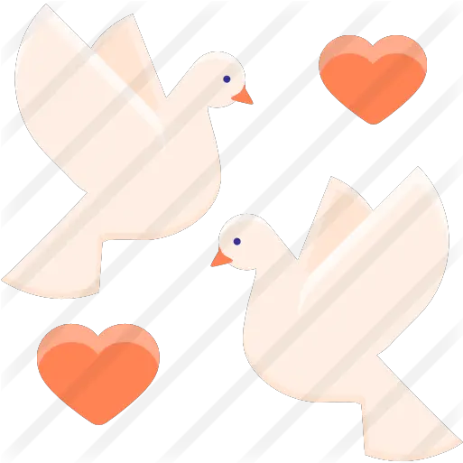 Dove Free Animals Icons Duck Png Dove Transparent