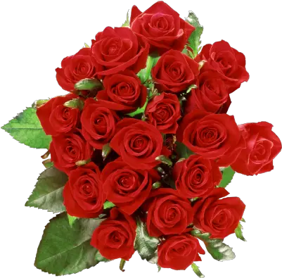 Rose Free Png Transparent Image And Clipart Bouquet Of Roses Png Real Rose Png