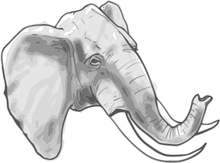Elephant Head Png Transparent Background Elephant Head Png Elephant Head Png
