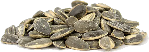 Sunflower Seeds Png Transparent Images All Sunflower Seed Sunflower Transparent Background