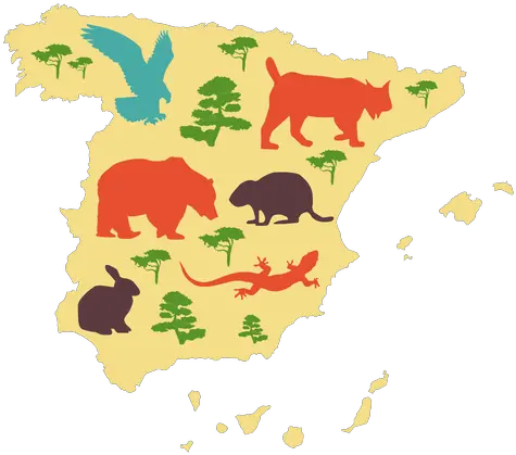 Spain Illustrated Map Transparent Png U0026 Svg Vector File Spain Spain Png