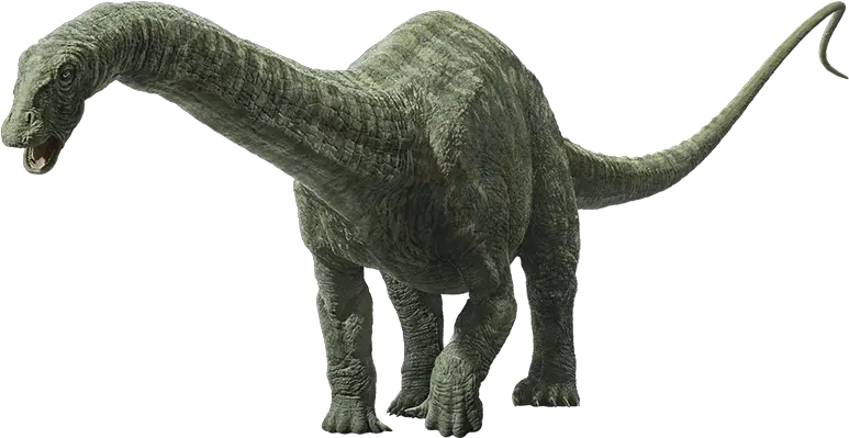 Apatosaurus Jurassic World Apatosaurus Jurassic World Apatosaurus Png Jurassic World Png