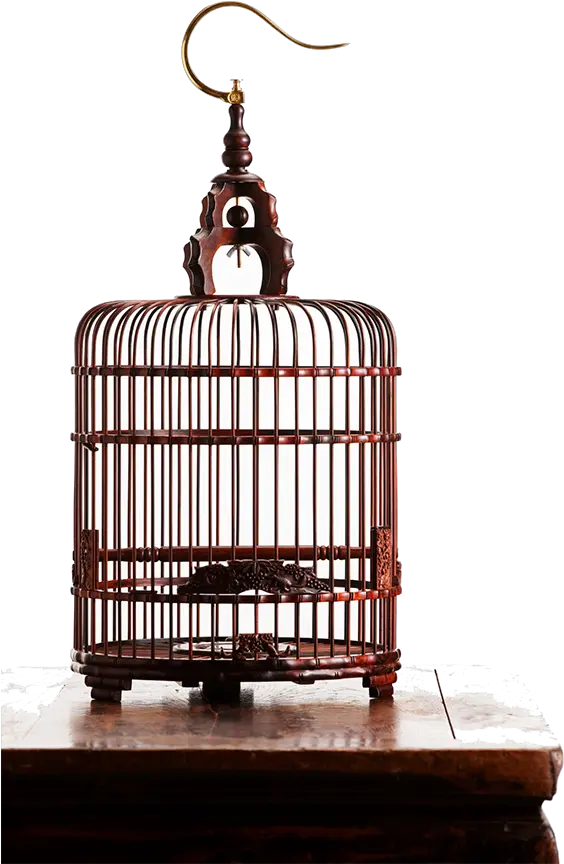 Birdcage Png Pic Computer Bird Cage Png