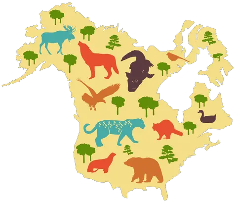 Transparent Png Svg Vector File América Del Norte Mapa Ilustrado North America Png