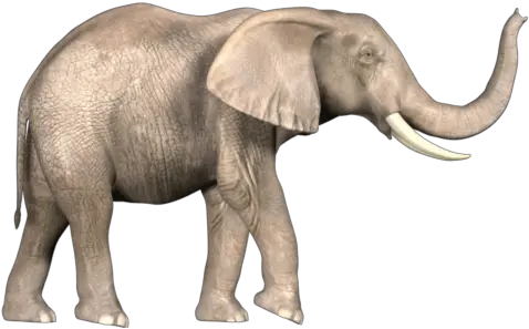 Elephant Png Clipart 8 Photo 5408 Transparent Image Elephant Png Elephant Clipart Transparent Background