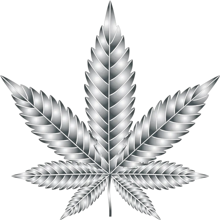 Leaf Cannabis Symmetry Silhouette Multiculturalism Weed Transparent Background Cannabis Clipart Png Weed Transparent Background