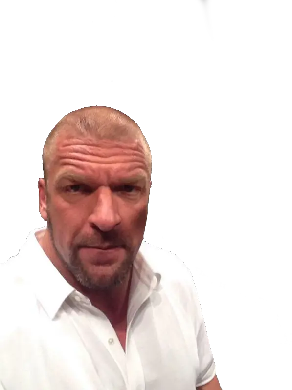 Shitpostbot 5000 Triple H Selfie Png Triple H Png