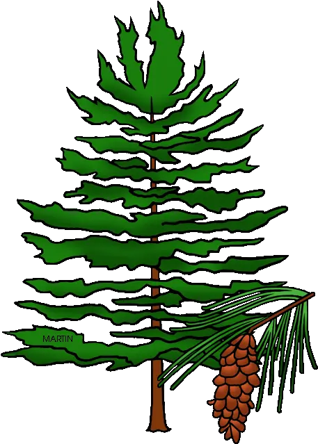 State Tree Of Idaho Pine Cone Tree Clip Art Png Download Pine Tree With Cones Clipart Pine Cone Icon