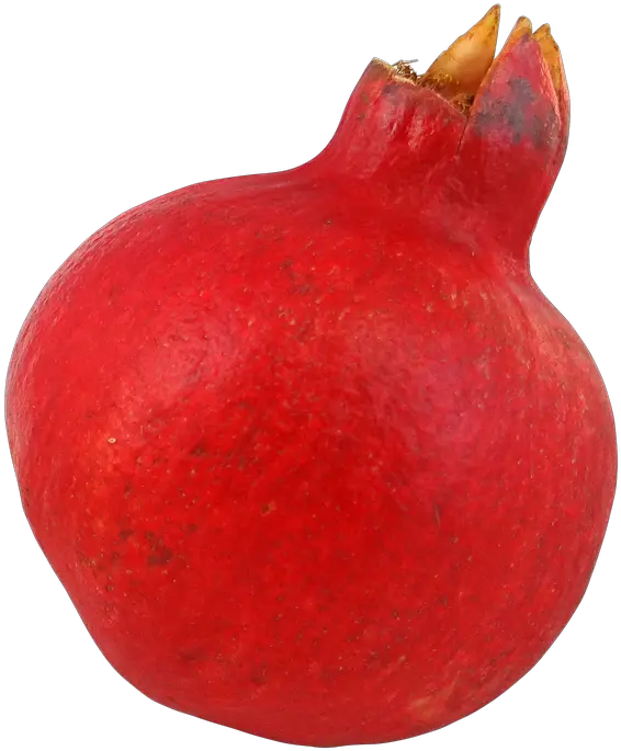 Download Pomegranate Png Image For Free Pomegranate Pomegranate Png