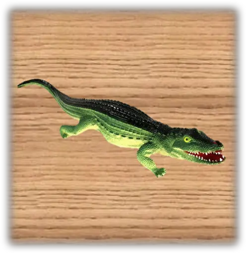 Ravensden 60cm Plastic Crocodile American Crocodile Png Crocodile Png