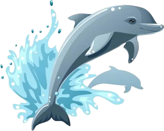 Library Of Dolphin Fish Jumping Clipart Download Png Files Cartoon Dolphin Transparent Background Dolphin Clipart Png