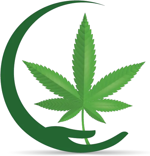 Design A Marijuana Brand With Our Free Medical Weed Logo Weed Book Png Marijuana Bud Icon