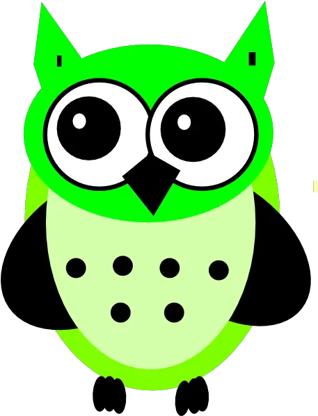 Lime Owl Png Clip Arts For Web Clip Arts Free Png Backgrounds Burung Hantu Kartun Owl Clipart Png