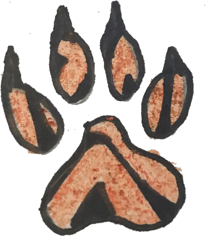 Exoticpets Soft Png Tiger Paw Png