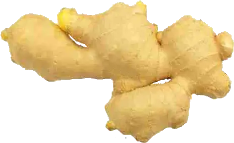 Ginger Icon White Ginger Png Ginger Png