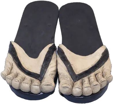 Sandals Png Images Free Download Sandals With Toes Sandals Png