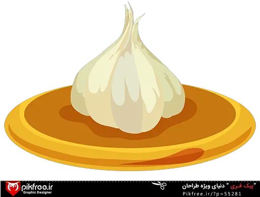 Vector Psd Icon Garlic Png Transparent Background