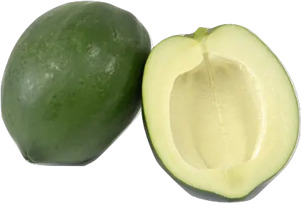 Green Papaya Tea Superfood Png Papaya Png