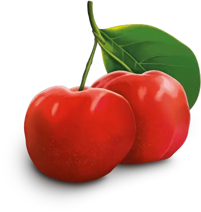 Acerola Cherry Png 4 Image Cherry Cherry Png