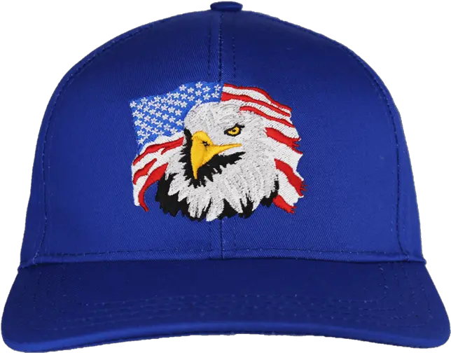 Jwm Wholesale Usa Made Patriotic Eagle Flag Hat Military American Png Patriotic Icon